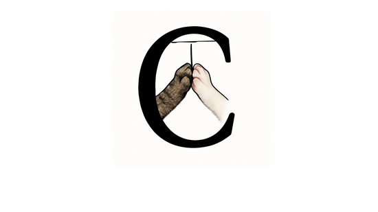 C.a.T.S. – Ideen mit Herz